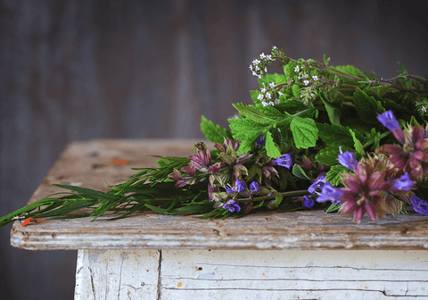 The Best herbal remedies and nutrients that can help you sleep well