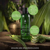 Aloe Vera Watergrass Scalp Massage Oil